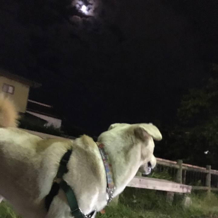 487ec088 35fd 4cdf 9a3b ab74161748fb