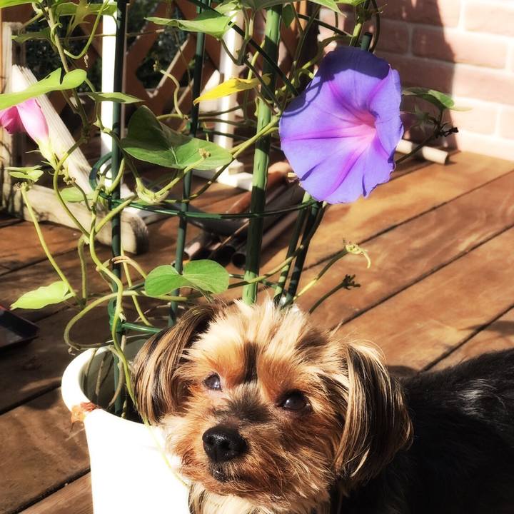 487efbbc 82c4 43d5 a896 6263b3596594