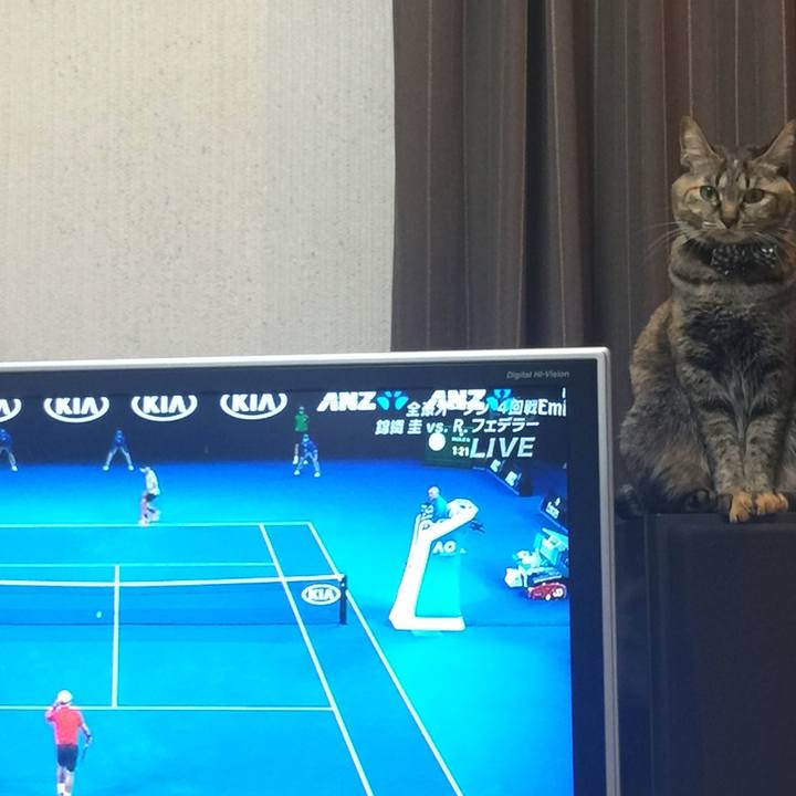 48803a78 4738 4199 a2cf 73088d45fed2