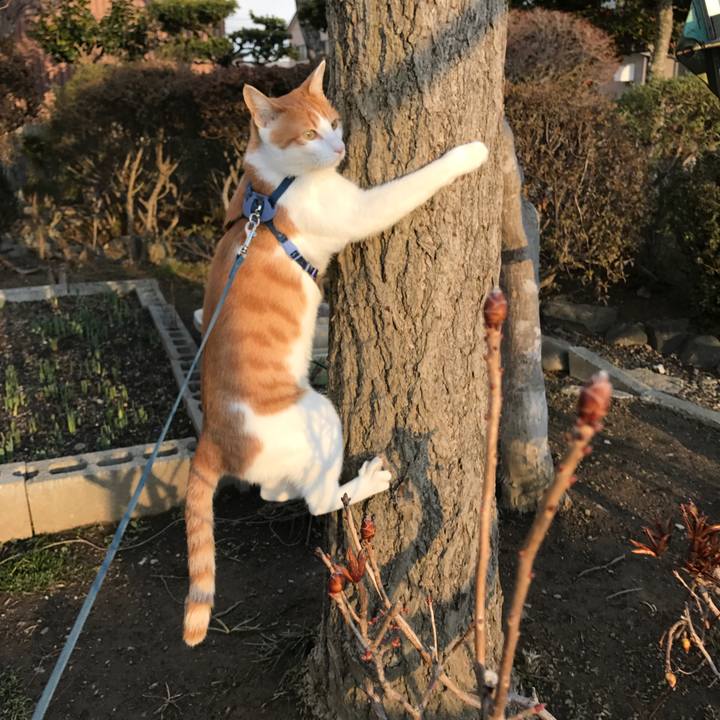 488098c0 0636 4457 be69 0562ca092b44