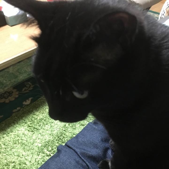 488141a8 e13c 440e 8693 8673c26cbe89