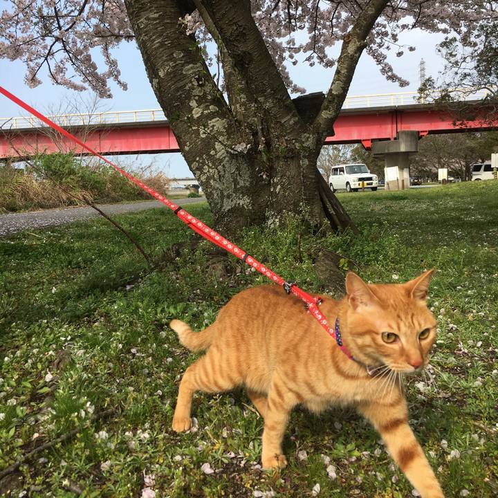 4881b4ba 4cb2 42c5 bdb4 e5543ff9084d