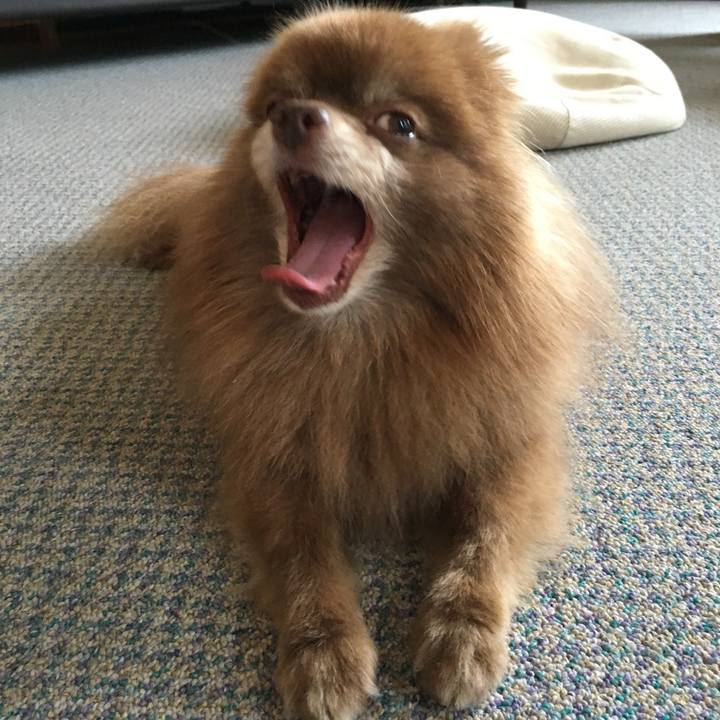 4882080c a2e0 4cd7 af1e 14f943371ae0