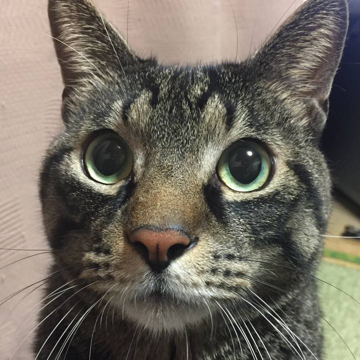 48823d72 05a5 4de3 a9c8 e2e9f1779bef