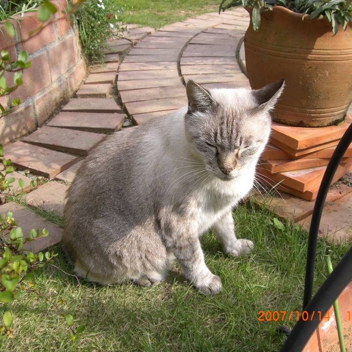 4882537c eb75 4955 b5fa f10590fead5f