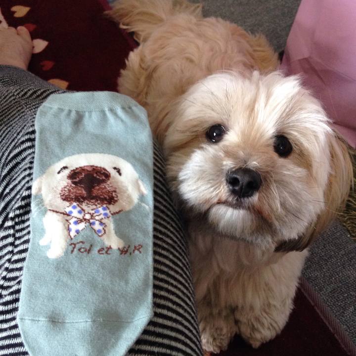 48829ebd b03f 45cb 99c5 62187a3d8093