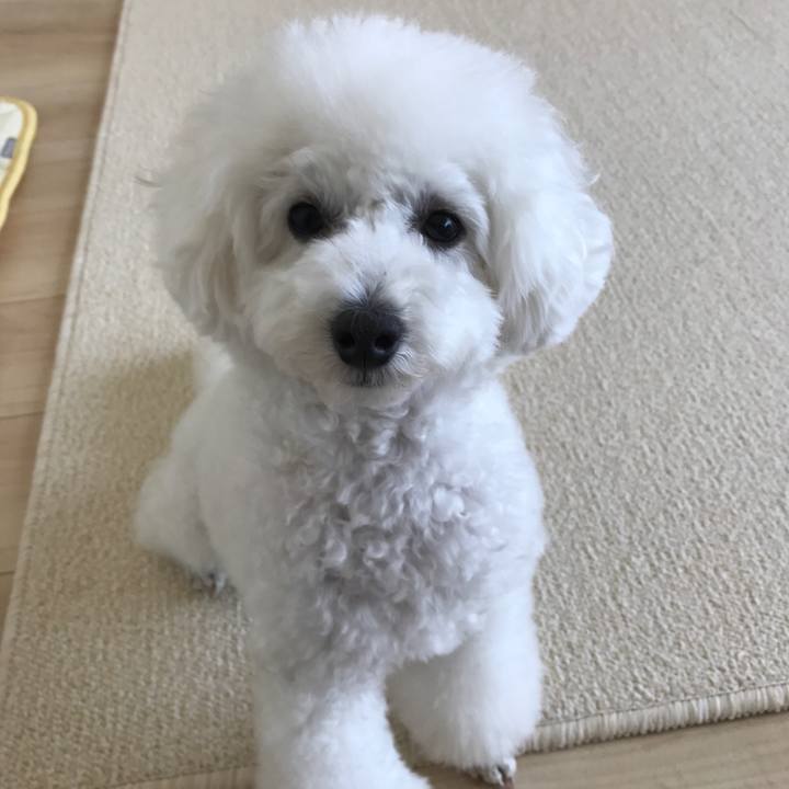 488375da ad5a 42a3 8ddc c0afe65e59fc