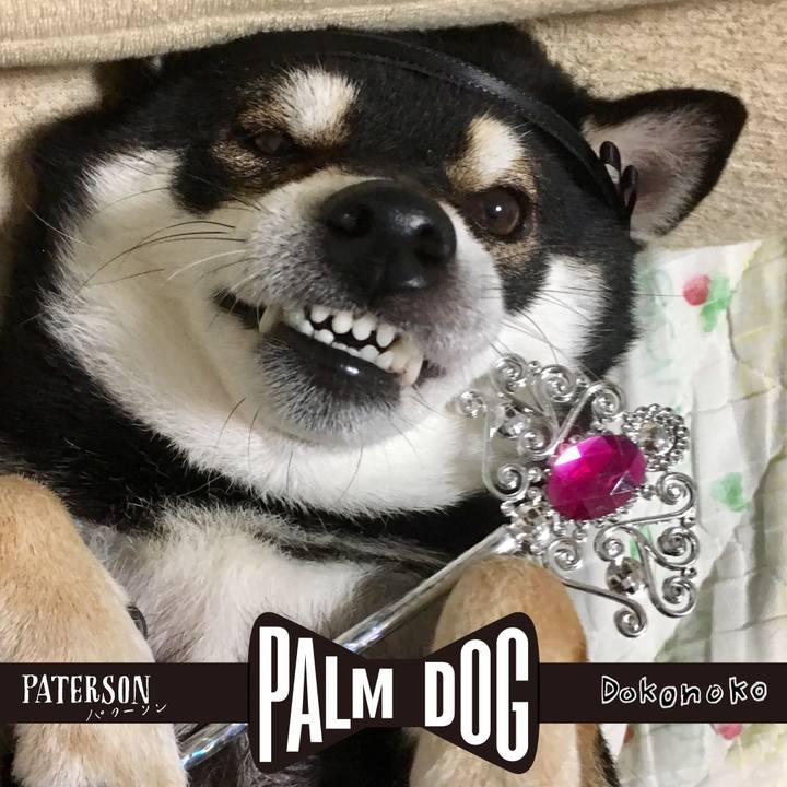 4883af08 6ba9 4a86 92e5 e2b24e04a1f1