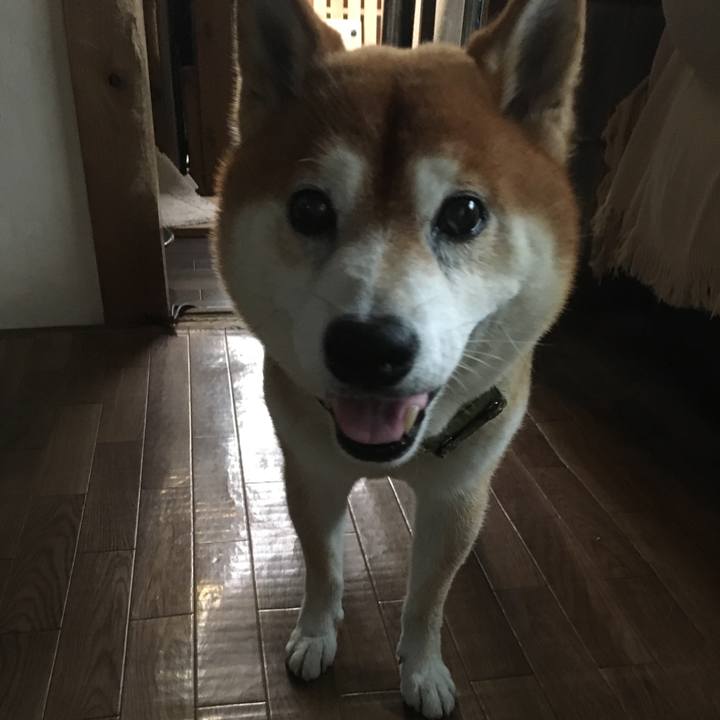 4883b2f2 ba28 4624 86ab d26635f757c9