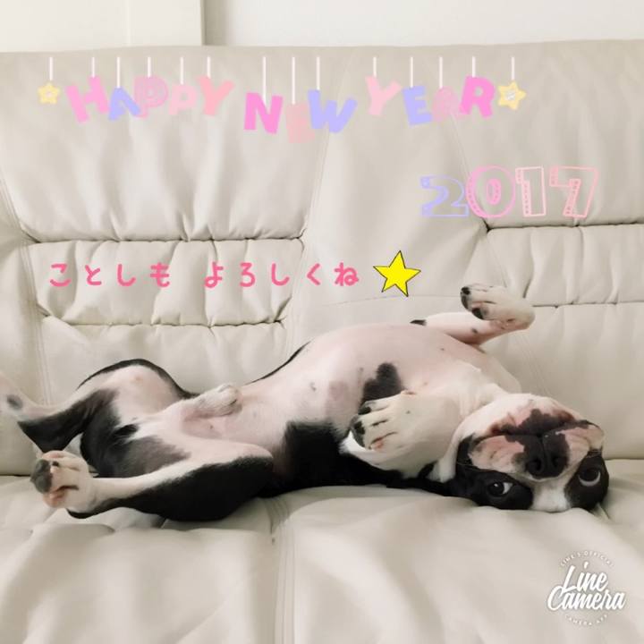 4883d967 00b7 4180 85df 767362e7ba28