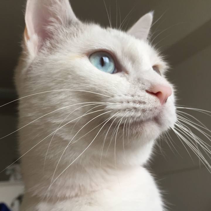 4885281f daf4 49b6 b7b4 4303d37e7adc