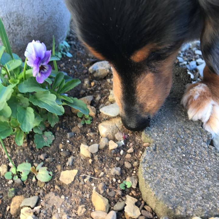 48853f5c aa55 4587 a06c 3ff713e774fb