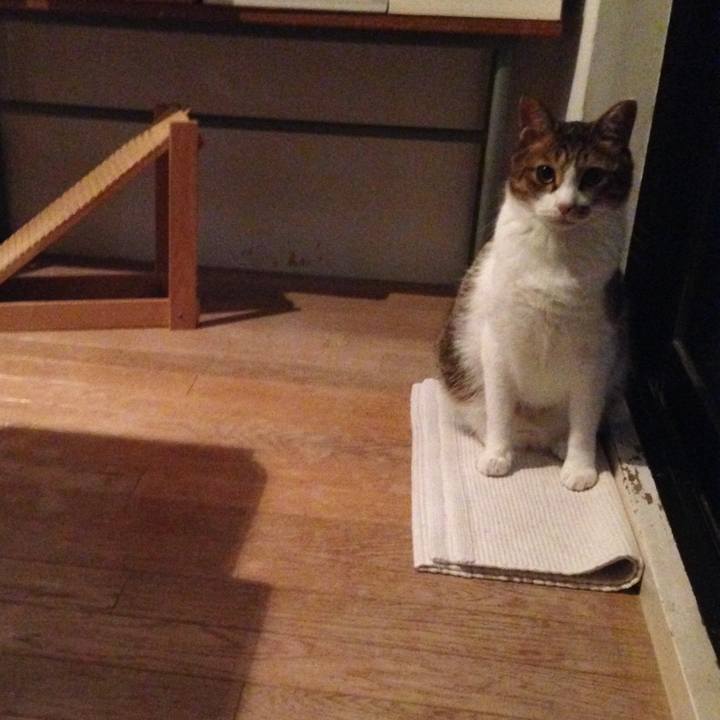 4885a002 7774 4a95 85e8 f81689f8e958