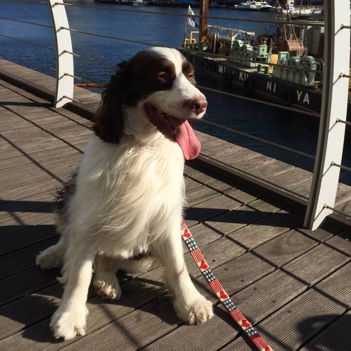 4885b0d3 d8fd 4f15 a0a6 382d15b6c50e