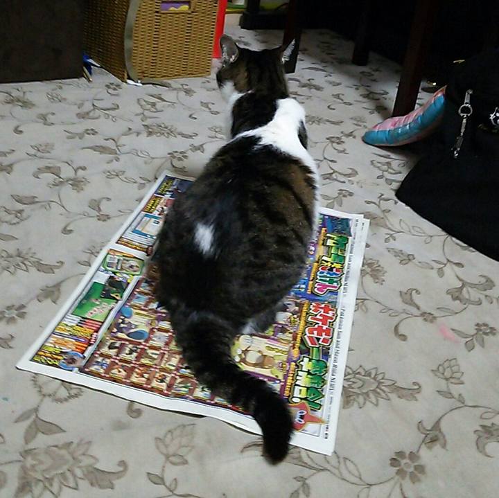 4886ff5e 14eb 49b2 b84a fda54959eca8