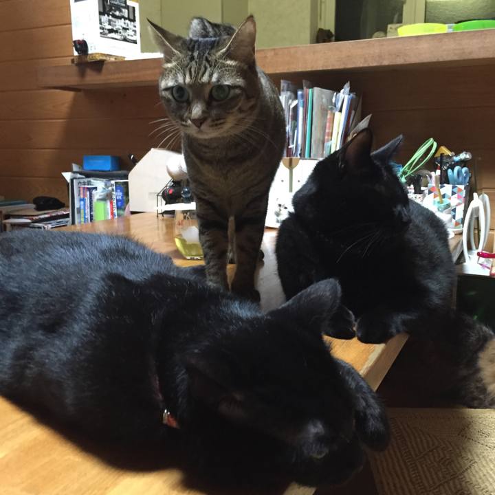 48878ed2 ec31 4461 ad95 a4d58831c375