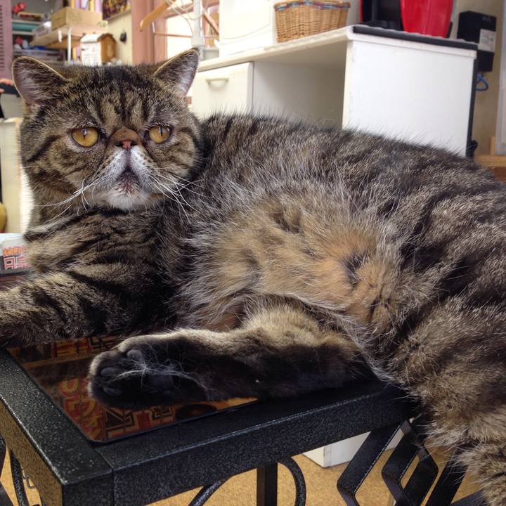 488880fc 262c 4be9 915b 9a599e8d4b78