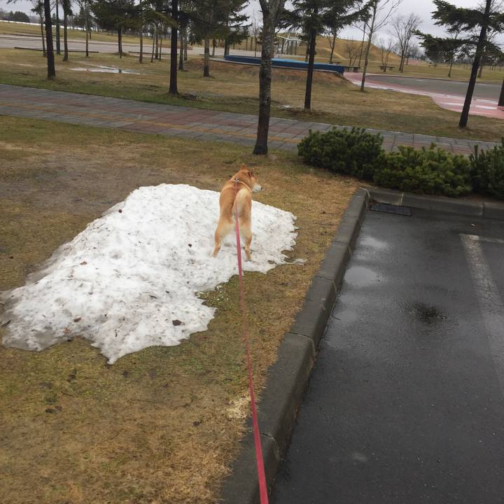 4888c6e4 238a 4b76 930f 6e0d9cf8417b