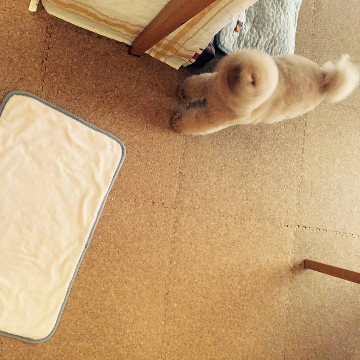 48894460 a73a 4f46 b5aa dd28d644e54f