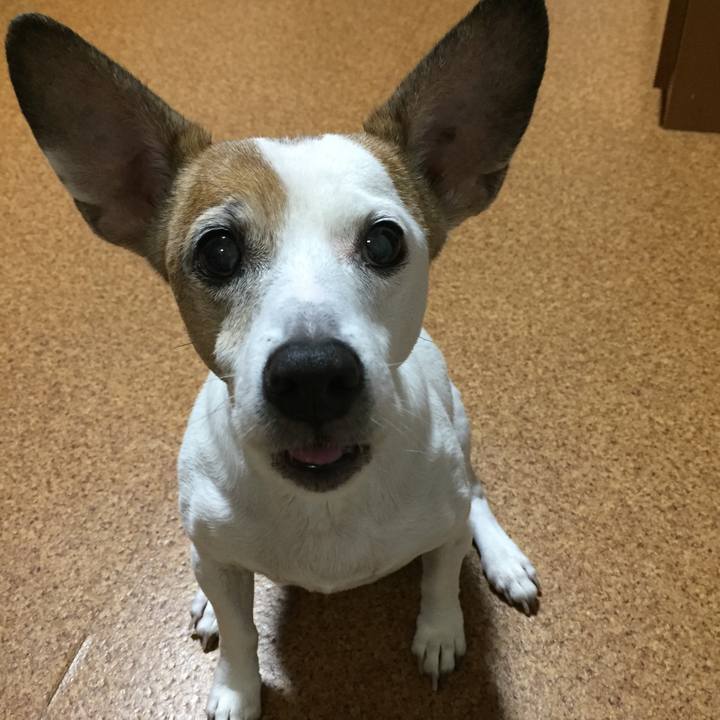 488948d6 5e95 4adf 86a2 81ae79cd1f14