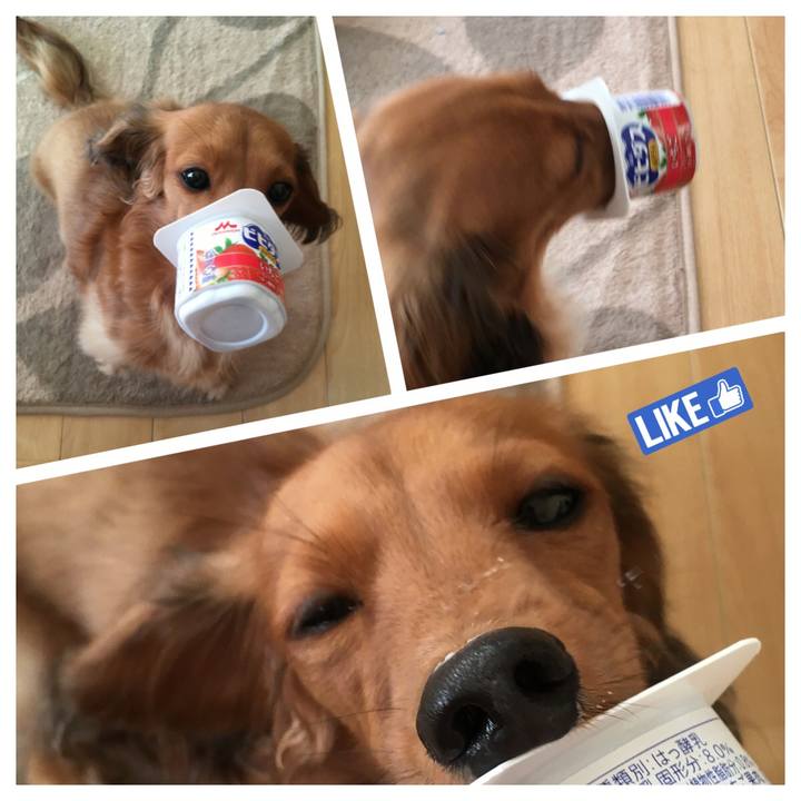 48898262 67e5 42cf 8cda 77b8d79f6a6d