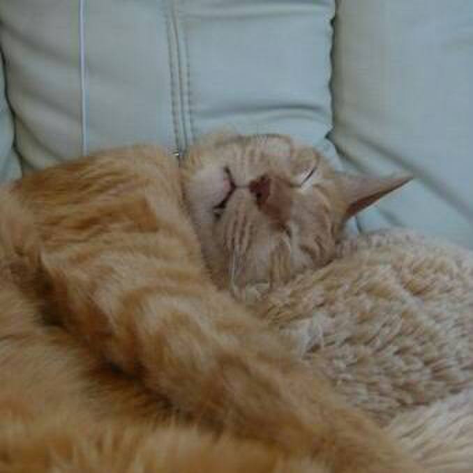 4889cc3c 7fa1 481c 9f9e d3ace14fd9a7