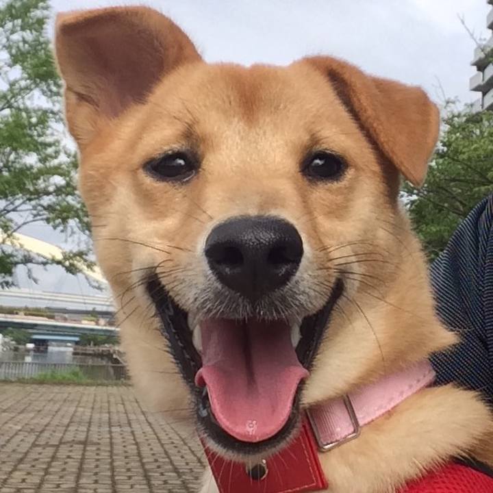 488a5a08 b40a 45b1 8e0b 4b032823b1a6