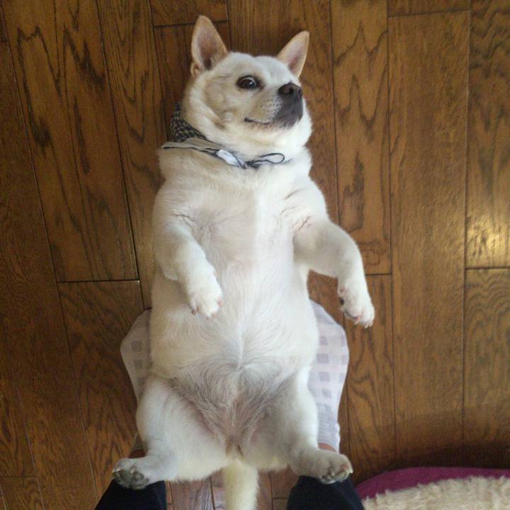 488a6be9 4c31 4415 abec d2dde00caf20