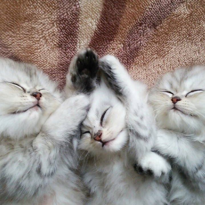 488b5b43 3524 4ef8 91a1 5eebfab1c3ae