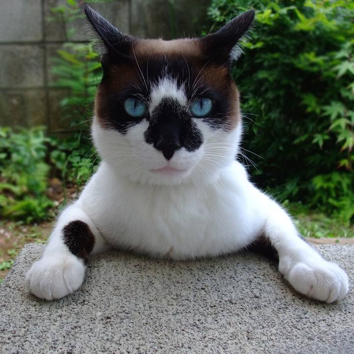 488cbd49 2164 4640 87dc 41a9c5337ffa