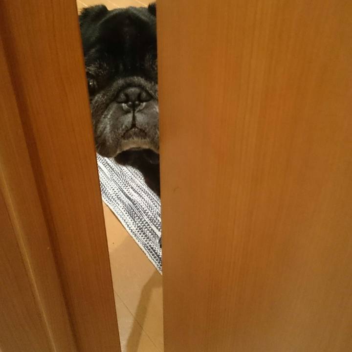 488cde57 adb6 4f12 908c c62fe7ed5547