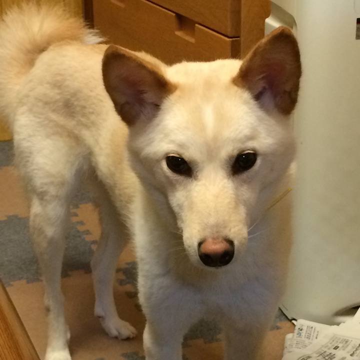 488cf63a 78eb 4ac6 b14b 2ddbd4ce7987