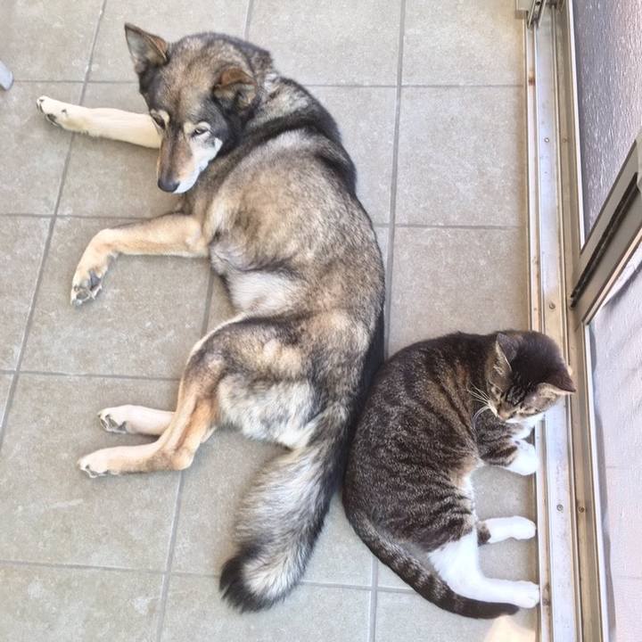 488d9749 16b0 4953 b4fe bb273edade6c