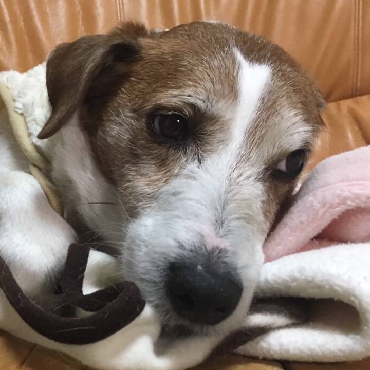 488daf6c fc6d 42cd b220 056cd1c305fa