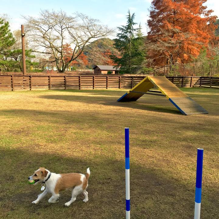 488dd35f f371 4e3b b34e b570bffb55c8