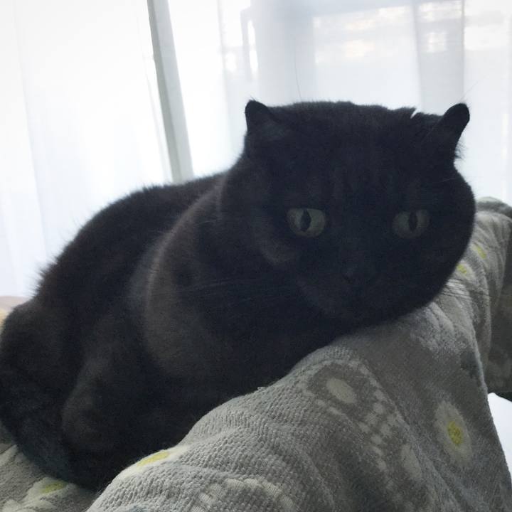 488e28e8 6519 4476 a875 6a1dff4d325d