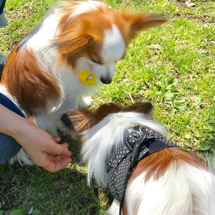 488e604c b758 4f81 879b b7b4549f07ec