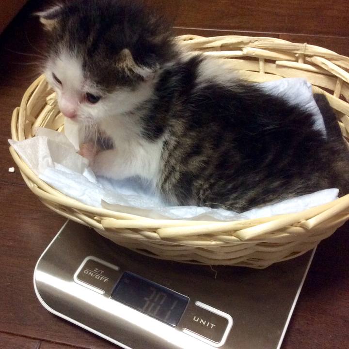 488e8918 2437 4db4 b369 e5e4a56f8343