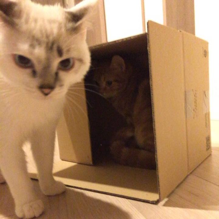 488efae0 ff37 4055 85c5 6ce86d9d3ec6