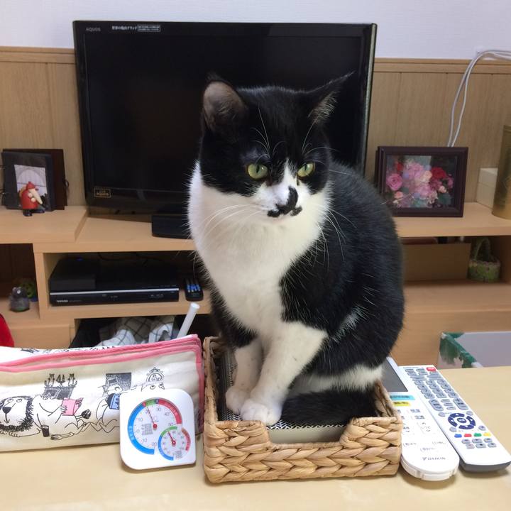 488f4e86 57c5 42c9 81f9 b9af1258bd42