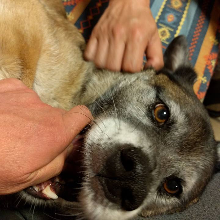 488f71da c061 4b26 b569 4b6fa770e05c