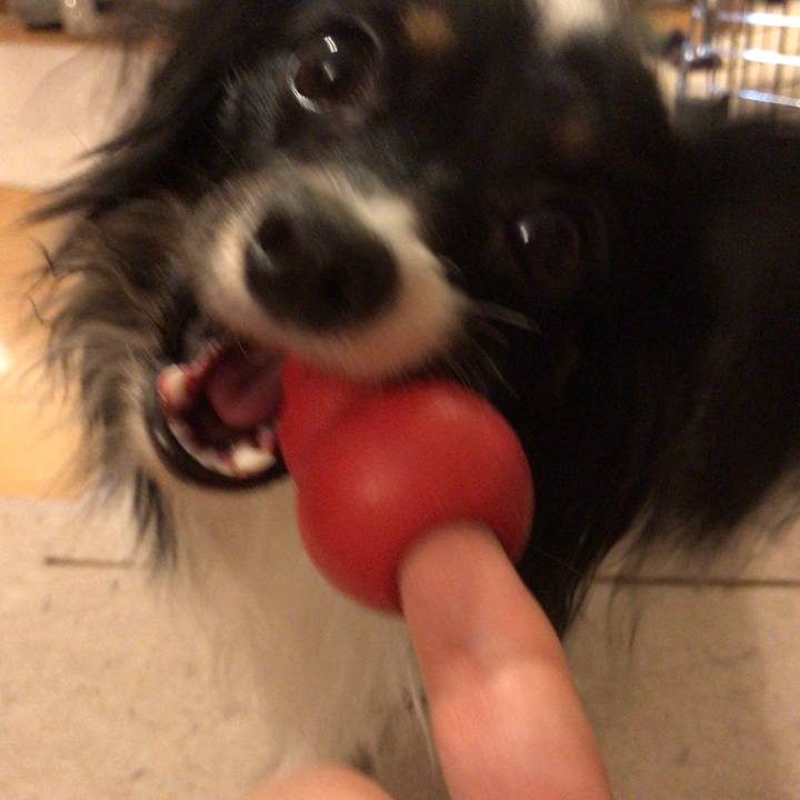 488ff160 135a 41b3 93c5 010eb8747e15