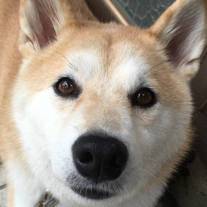 48901128 f14c 4c0b 9274 fd1b648a72bb