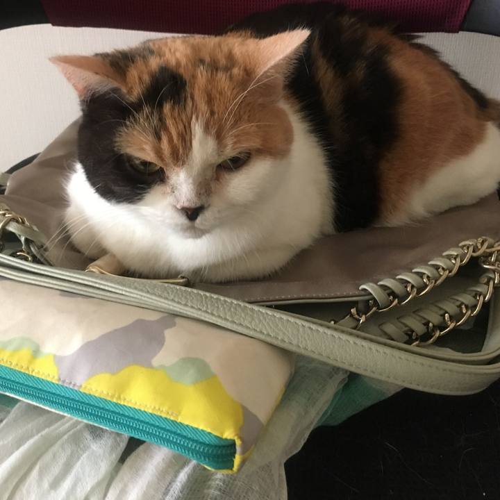 48906363 8362 4146 ada5 f8ee5003cc9f