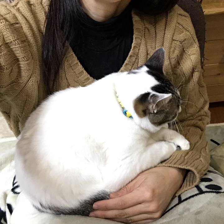 48908e94 3c8d 4b8f 98bb 6d9ba3c0d25a