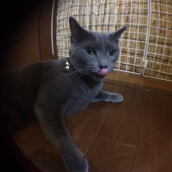 48909900 a548 494d 9c53 bbb720904638