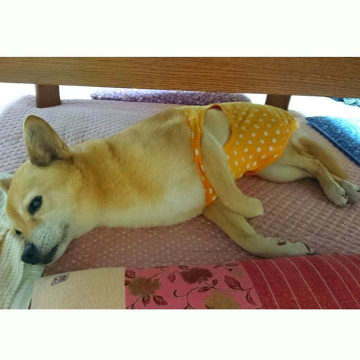 4890b6f2 899e 406f ae64 d0ead0224043