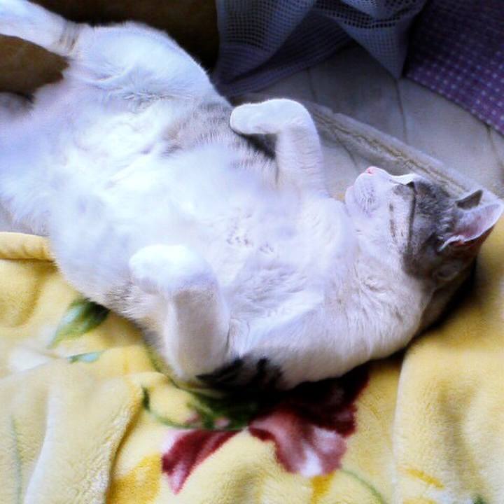 489152dd 58b6 4819 8d3a d9d522217e9c