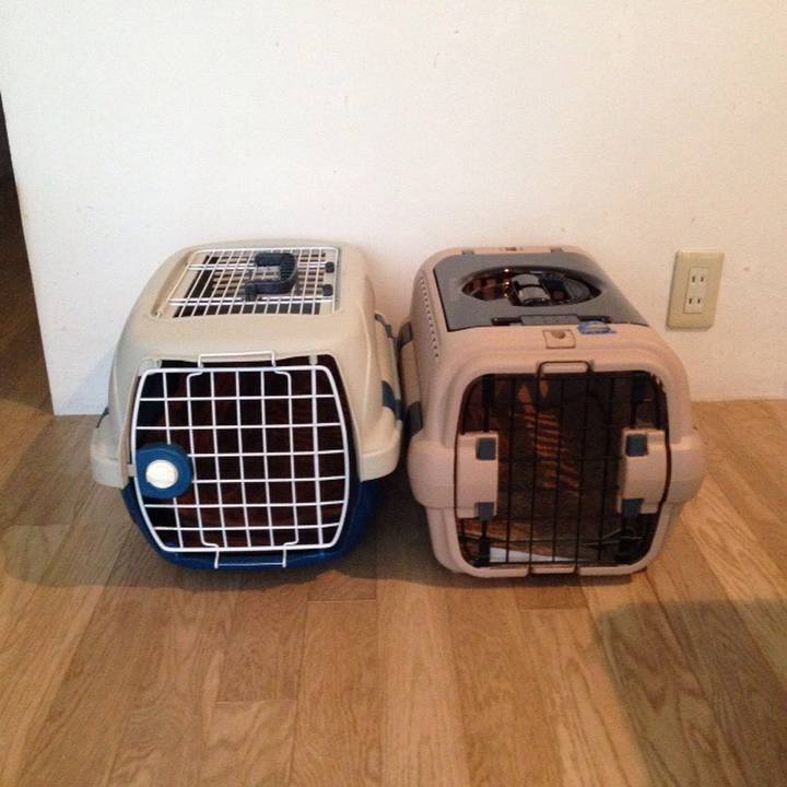 4891e429 43ff 4c4d 8fc6 6c988bf23bb2