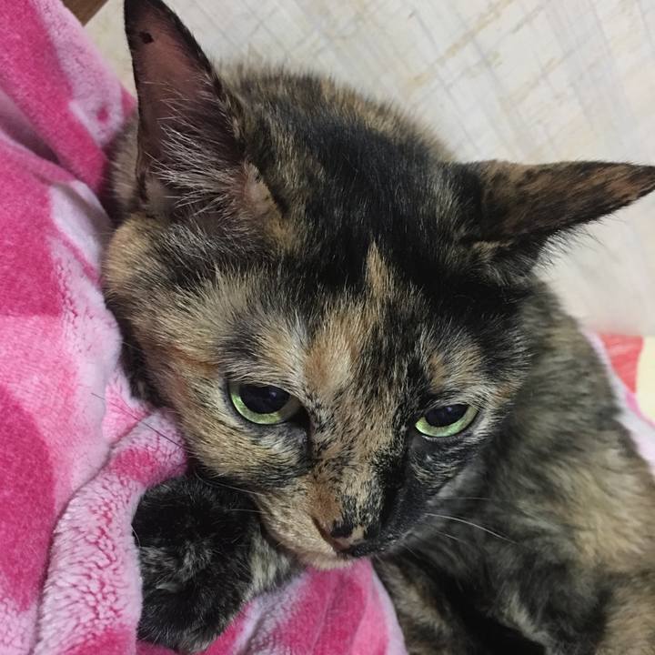 48920775 4520 466d 897e e65b33c10e0e